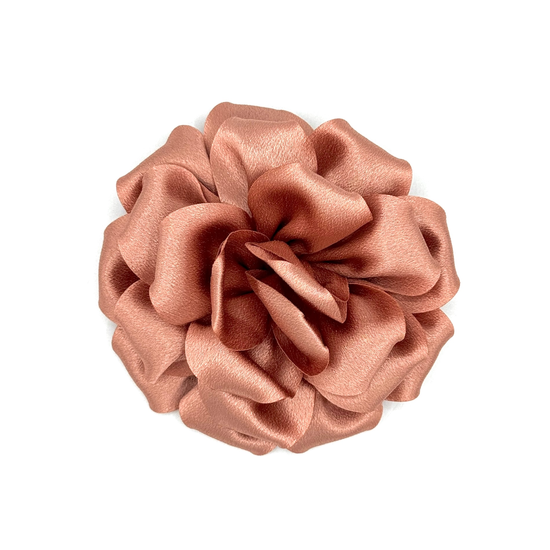 Rosa Peach Fuzz