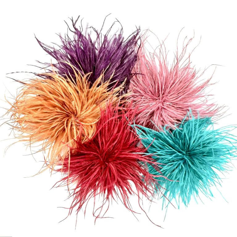 spilla piume