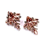 Orecchini swarovski