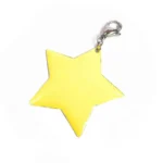 Star Charm